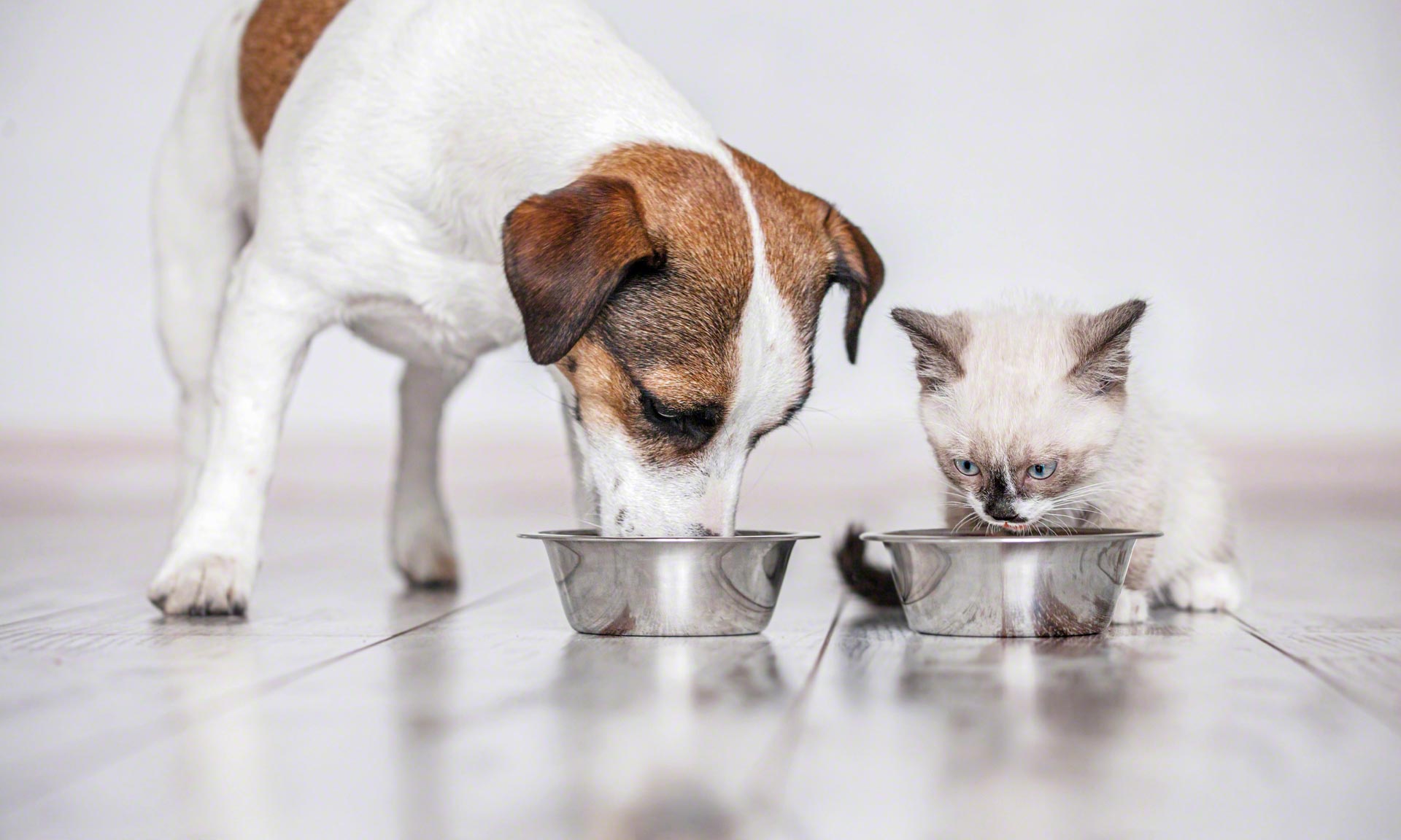 Vitakraft Italia renueva su almacén de alimentos para mascotas